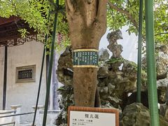 -东山雕花楼