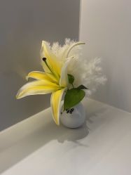 -杭州米兰柏羽医疗美容医院