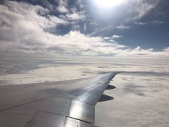 -上海浦东国际机场-T2航站楼