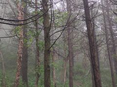 -白草畔自然风景区