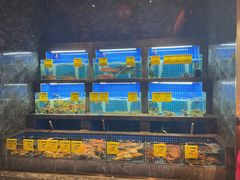 -虾佬圣汤·海鲜姿造(乐堤港店)