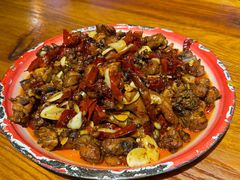 -柴窝堡22号辣子鸡·传承新疆菜