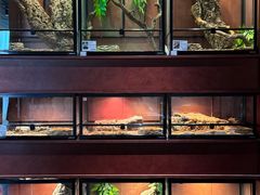 -帕帕拉兹宠物(亚洲旗舰店)