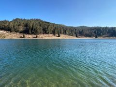 -武陵山森林公园