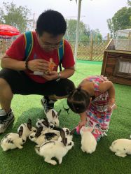 -萌宠亲子动物乐园(槐房万达店)