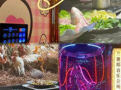 -萧邦音乐会所KTV·蒸汽活海鲜自助(福田店)