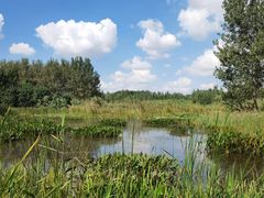 -溱湖国家湿地公园