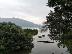 -坝光海滩