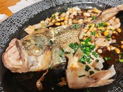 -固安来康郡来康温泉
