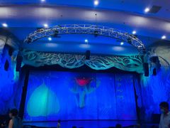 -勐巴拉娜西大剧院