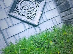 -老张烤羊(王哥庄店)