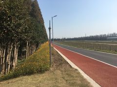 -上海长兴岛郊野公园