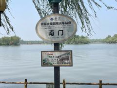 -荷花大观园