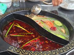 -小志家.野生菌鲜切牦牛肉牛杂火锅