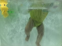 -鱼乐贝贝婴幼儿水育馆(高桥红坊店)