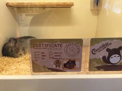 -龙猫仔乐园(惠福东路店)