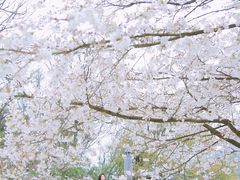 -杭州少年儿童公园