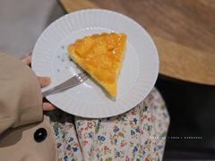 -猫里有甜