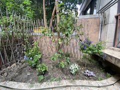 -双季花艺园艺市场(浦东店)