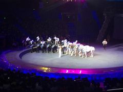 -珠海横琴长隆《卡卡虎奇遇记》