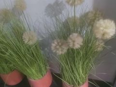 -唐宫足道·SPA·住宿24H会所(木渎店)