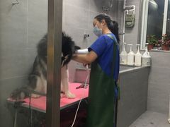-宠福鑫康馨动物医院·骨科·眼科