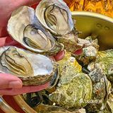 厦门这家店🦞🦪我真的会吃到天亮‼️[流泪] 