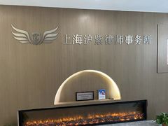 -上海领胜律师团队·法律咨询