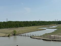 -溱湖国家湿地公园