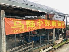 -马陆小张葡萄园农家乐