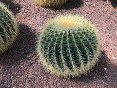 -亿利库布其七星湖沙漠生态旅游区