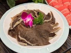 -蒙星月涮肚火锅城(宏运家园店)
