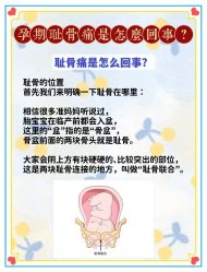 -安馨无忧月子中心(青秀店)
