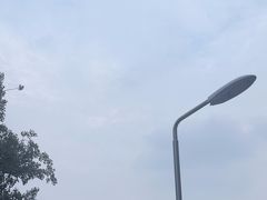 -No.DD戳子烧烤·江湖菜(北京总店)