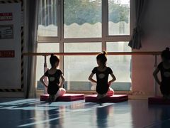 -西安小天鹅艺术团(曲江Alice店)