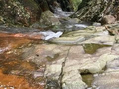 -花岩国家森林公园