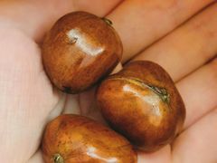 -高记福桂桂花糖炒栗(鼓楼店)