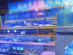 -青蓬蒸汽海鲜·深圳老字号·团建聚会(壹方城店)
