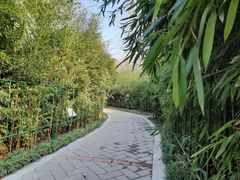 -济南植物园