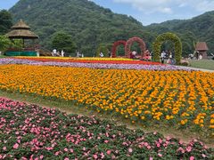-广州市石门国家森林公园