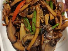 -邵年鸽(杨庄店)