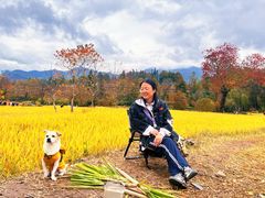 -塔川景区