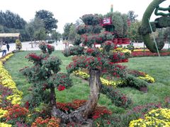 -廊坊文化艺术中心