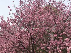 -鹫峰国家森林公园