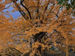 -青岛崂山太清宫