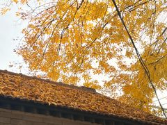 -老井俄式餐厅