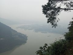 -铁山坪森林公园