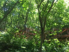 -大岭沟猕猴桃谷风景区