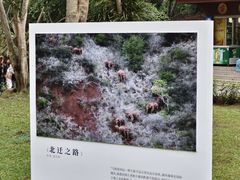 -野象谷景区