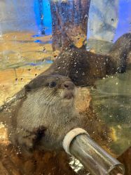 -Zoolung Zoolung动物主题公园(海信广场店)